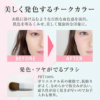 Amazon | パウダーチーク チークカラー 110 オレンジ ブラシ付き